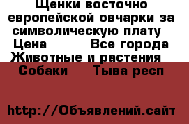 Щенки восточно европейской овчарки за символическую плату › Цена ­ 250 - Все города Животные и растения » Собаки   . Тыва респ.